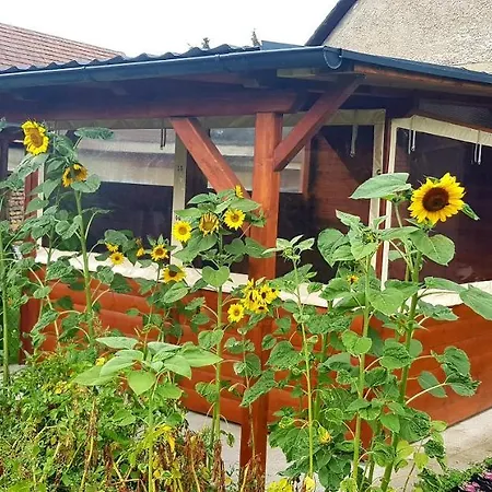 Privat bolig Privat Dano